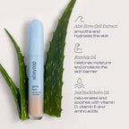 Alleyoop Game Face Concealer Makeup, Lightweight to Medium Buildable Coverage Under Eye Concealer, For Blemishes, Crease-proof and Hydrating with Aloe Stem Cell, Smooth Second Skin Finish - Go-Getter