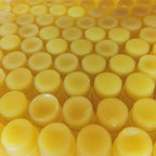2PCS Handmade Plant lip balm Pink