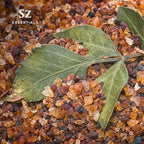 5-Year Aged Myrrh Premium Essential Oil – Rich, Earthy Aroma | Pure & Natural for Aromatherapy & Wellness - Therapeutic Grade & Vegan - 100% Pure and Natural - Undiluted - 0.17 fl oz.