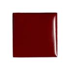 billion dollar brows Lip & Cheek Tint - Pigment