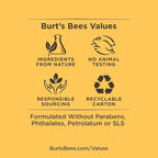 Burt's Bees Lip Balm - Mango, Lip Moisturizer With Responsibly Sourced Beeswax, Tint-Free, Natural Origin Conditioning Lip Treatment, 2 Tubes, 0.15 oz.