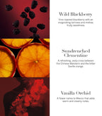 Victoria's Secret Very Sexy 3.4oz Eau de Parfum