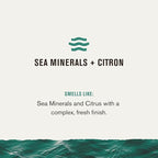 Every Man Jack Nourishing Sea Minerals + Citron Mens Body Wash for All Skin Types - Naturally Derived Ingredients - Cleanse and Hydrate Skin with Coconut and Glycerin - 24oz 2 Bottles
