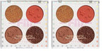 wet n wild Make up Pigment Palette Desert Heat (Pack of 2)