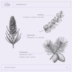 A La Maison de Provence Natural Aluminum-Free Deodorant Traditional French Milled Formula | Long Lasting Safe and Effective | Free of SLS, Parabens and Sulfates (3 x 2.4 oz, Lavender Aloe)