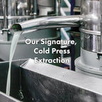 RATED GREEN Real Shea Cold Press Nourishing Shampoo w. Sunflower Seed Oil | Vitamin E | Deep Moisture & Soothing Care for Dry, Damaged Hair | Silicone-Free, Korean Vegan Formula | 13.52 fl oz