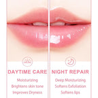 3 PCS Bee Lip Balm Lip Mask Honey Pot, Watermelon & Cherry & Coconut Lip Mask Propolis Moisturizing Lip, Hydrating Prevention Dry and Cracked Lip Scrubs Exfoliator (Watermelon & Cherry & Coconut)