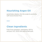 Soapbox Argan Oil Shampoo, Harsh Sulfate Free, Paraben & Silicone Free, Color Safe, and Vegan Hair Shampoo | Control & Soften Shampoo (33.8 Ounces)