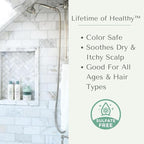 Yobee Rebalancing Shampoo – Sulfate-Free Dry, Flaky & Itchy Scalp Care | Probiotic Shampoo with Organic Honey, Turmeric, Vitamin B12 & Oat | Dandruff, Eczema & Psoriasis Relief | Doctor Founded