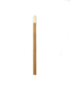 Artist's Choice Lip Gloss Applicators - Sponge Tip for Effortless Blending, Soft Pad with Angled Edges for Precise Control, Single-Use Option for Professionals