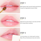 5 PCS Bee Balm Lip Balm