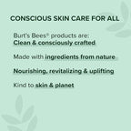 Burt's Bees Chai Tea Lip Balm Blister, 0.15 Ounce