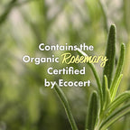 RATED GREEN Real Mary Cold Brew Rosemary Purifying Scalp Scaler w. Sea Salt | Menthol | Deep Refreshing Mask for Oily, Flaky Scalp | Korean Vegan Formula | 1.69 fl oz (Pack of 5)