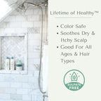 Yobee Naturally Rebalancing Shampoo | Dry, Flaky & Itchy Scalp Care with Para Probiotics, Organic Honey & Turmeric, Vitamin B12 & Oat Extracts | Dandruff & Psoriasis Relief (2 Bottles)