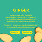 Ginger Shampoo Bar 2.0 - Hydrating & Moisturizing Natural Hair Soap Bar Shampoo for Hair Vitality & Scalp Nourishment - Bathing Soap Solid Shampoo for All Hair Types (120g, 4.23oz)