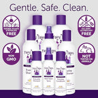 Fairy Tales Daily Cleanse Everyday Kids Shampoo - Gentle Natural Defining Shampoo, Tangle Free, Moisturizing and Hydrating Formula, Paraben Free - 12 oz (2 Pack)