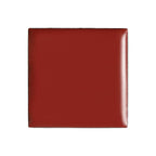 billion dollar brows Lip & Cheek Tint (Praline)