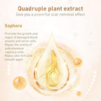 Acne Scar Removal Cream Stretch Marks Face Skin Cream Shrink Pores Gel-Fade Scar Marks Acne Skin Care (Packaging Upgrade) VeniCare