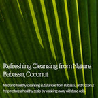 Bouquet Garni NARD Hair Shampoo Lavender Musk - Scalp Vitality, and Soft Cleansing (Containing Argan Olive Jojoba Macadamia Sunflower Oil, Protein, and Amino Acids) - 16.9 oz