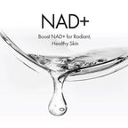 Novus Ordo, NAD+ Ingredients, Revolutionary Korean Skincare Solution, Revitalizing Ampoule serum, NAD healthy aging, Elastic, Moisturing and Glowing Skin, Authentic K-beauty, 1.01 fl oz