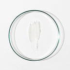 Grown Alchemist Hydra-Repair Eye Balm (15ml), Anti-Aging and Moisturizing with Natural Botanical Ingredients for Fine Lines and Wrinkles