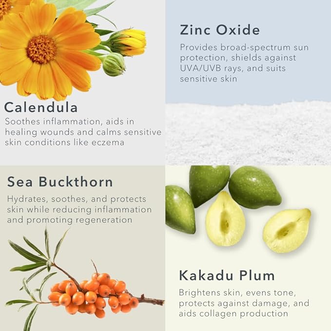 NEW SIZE - Baie Botanique Soleil Organic Facial Sunscreen SPF 50 - Chemical Filter Free Hyaluronic Acid & Vitamin C Sunscreen for Face Natural Vegan No White Cast Non Toxic UVA/UVB - Light Tint 70g