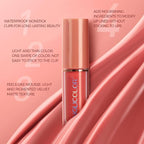 Matte Liquid Lipstick Set,Waterproof Long Lasting Non-Stick Lipstick for Women (12pcs)