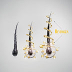 Revivogen MD Bio-Cleansing Shampoo for Thinning Hair, DHT Blocker Shampoo, Hair Loss Shampoo, Shampoo Thinning Hair, Soothes Scalp, Routine Shampoo for Women/Men Hair Loss, Hair Shampoo, 12oz