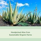 Aloe Vera After Sun Gel by Florida Glow - Organic Aloe Vera Gel for Sunburn Relief - 98% Pure Aloe Vera Moisturizer for Face, Skin - Enriched with Vitamin B5, Non-Sticky, Xanthan Free, Clear Gel