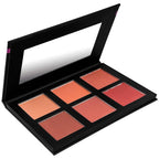 SHANY Shimmer & Matte Powder Blush Makeup Palette