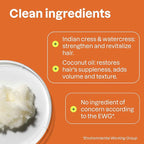 ATTITUDE Amplifying Shampoo for Curly Hair with Coconut Oil, EWG Verified, Vegan and Naturally Derived Ingredients, 2a, 2b, 2c Curl Type, Gives body to Curls, 16 Fl Oz