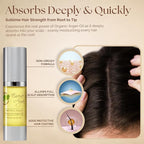 Essence of Argan 100% Pure Moroccan Organic Argan Oil - Natural EcoCert Oil that Nourishes and Conditions Your Skin, Hair and Nails (50ml/1.7oz)
