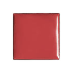 billion dollar brows Lip & Cheek Tint - Pigment