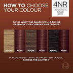 L’Oreal Paris Excellence Universal Nudes Permanent Hair Color, Ammonia Free Hair Dye for Gray Hair Coverage, 4NR Natural Dark Red, 1 Hair Dye Kit