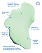 The Lifeguard Aloe Vera Sunburn Gel – After Sun Protection for Sunburn Relief with Minty Cooling – Fast-Absorbing Formula for Sun-Exposed Skin – Vegan, Non-Sticky, Hydrating Formula (5.5 Fl Oz)