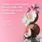 Saltair Skincare Deodorant - Aluminum-Free Deodorant for Men and Women with Long Lasting Odor Protection Zinc and BHA. Refillable Stick, Suitable for Sensitive Skin, 2 Pack Signature Scents