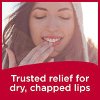 Carmex Classic Medicated Lip Balm Pack, Lip Moisturizer for Chapped Lips, 7 Count (6 Tubes and 1 Stick)