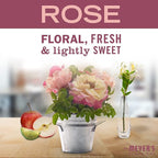MRS. MEYER'S CLEAN DAY New Spring Scent Variety Pack (Lilac + Daisy + Rose)