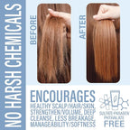 Bay Rum Shampoo Bar – Vegan, Sulfate-Free, Made in USA | 3-in-1 Men’s Shampoo, Conditioner & Body Wash | Ideal for All Hair Types | 60+ Washes, Travel-Friendly