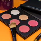 SHANY Cosmetics Shimmer & Matte Blush/Highlighter Face Palette