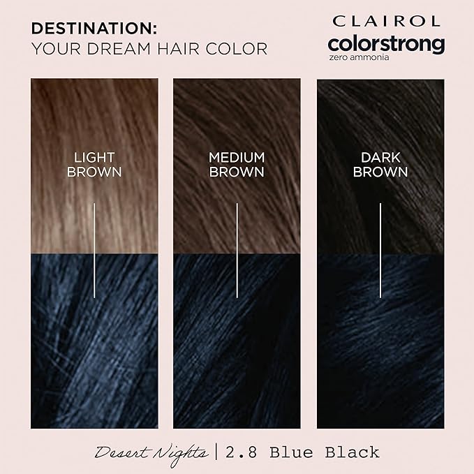 Clairol ColorStrong Permanent Zero Ammonia Hair Dye, 2.8 Blue Black - Desert Nights Hair Color, Pack of 1
