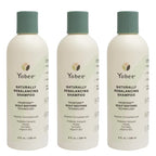 Yobee Naturally Rebalancing Shampoo | Dry, Flaky & Itchy Scalp Care with Para Probiotics, Organic Honey & Turmeric, Vitamin B12 & Oat Extracts | Dandruff & Psoriasis Relief (3 Bottles)