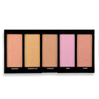 Profusion Cosmetics 5 pc Luminizer Makeup Palette