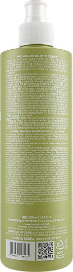 laferme Laminaria Shampoo with Organic Ingredient, Korean Clarifying Shampoo, Hydrating for Dry Hair, Strengthening for Weak Hair, Sulfate & Paraben-Free, for Women & Men,16.9 FL. OZ, Pine Eucalyptus