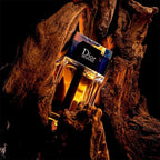 Christian Dior S93436782