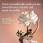 Saltair Skincare Deodorant - Aluminum-Free Deodorant for Men and Women with Long Lasting Odor Protection Zinc and BHA. Refillable Stick, Suitable for Sensitive Skin, 2 Pack Signature Scents