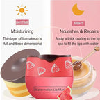 4 PCS Bee Lip Balm Honey Pot,Strawberry&Watermelon&Honey&Apple Lime Lip Mask Overnight Hydrating Prevention Dry and Cracked Lip Scrubs Exfoliator Lip Care, Lip Sleeping Mask Reduces Lip Lines