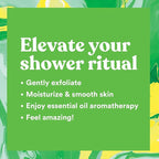 ASUTRA Dead Sea Salts Essential Oil Body Scrub Favorite Scents Bundle – 3, Full-Size 16 oz Body Scrubs – Vitamin C, Revitalizing Coconut, Cooling Cucumber – Ultra Hydrating, Gentle, and Moisturizing