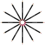 SHANY Dreamy Dozen Matte Lip Liner Set Vegan - Long-Lasting Professional Velvet Cruelty-Free Lipstick Pencils Pens in Varying Shades - Pack of 12