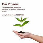 LilyLeaf Handheld Makeup Mixing Palette - Transparent Hand